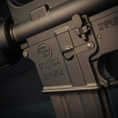 MTW Fossil Collection: Dig 2 (XM177)