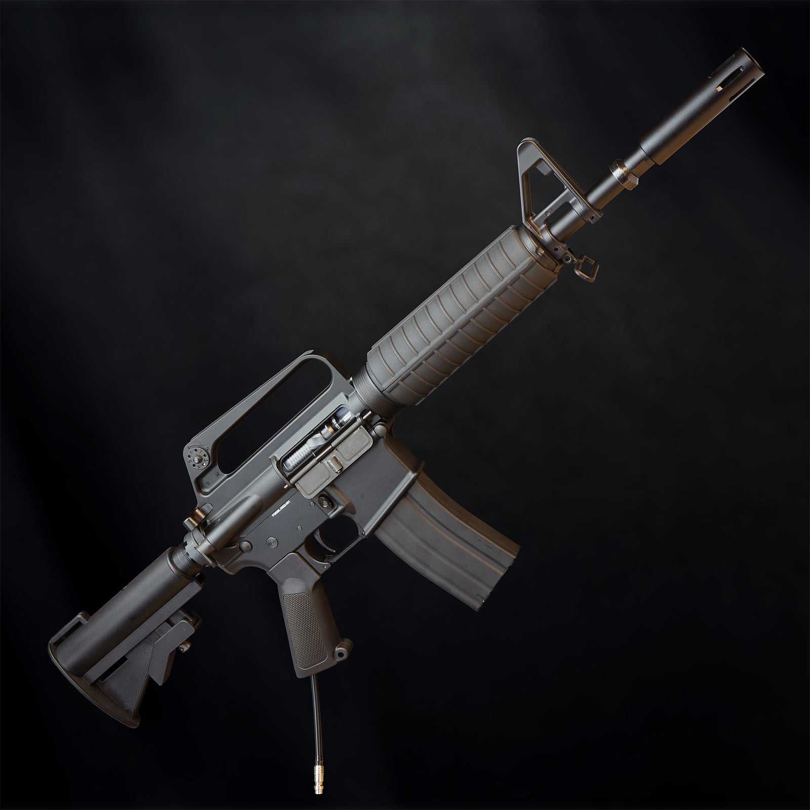 MTW Fossil Collection: Dig 2 (XM177)