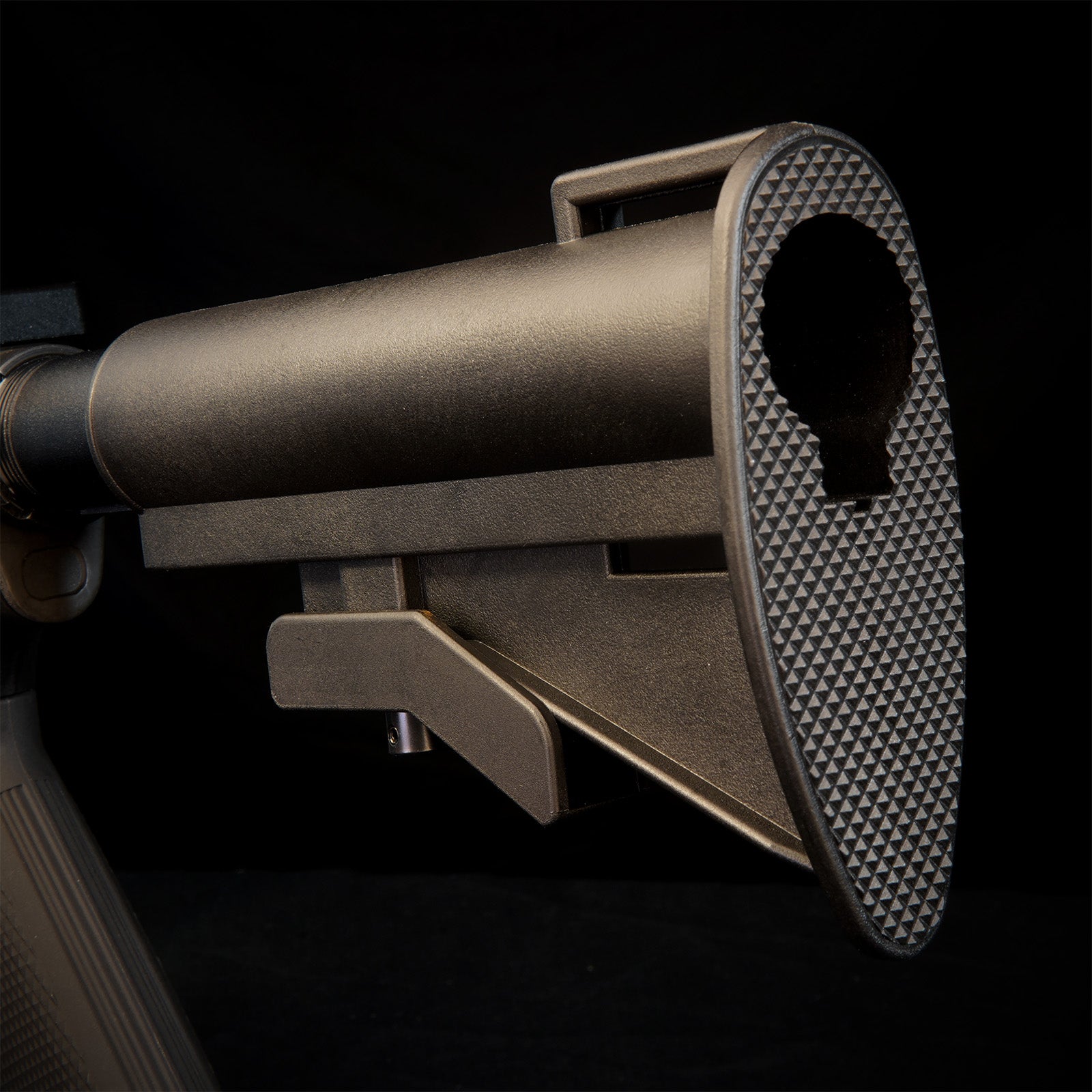 MTW Fossil Collection: Dig 2 (XM177)