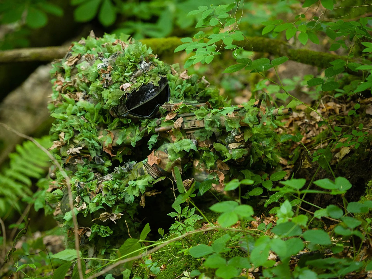 Halo Screen Starter Kit