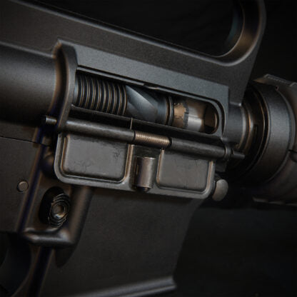 MTW Fossil Collection: Dig 2 (XM177)