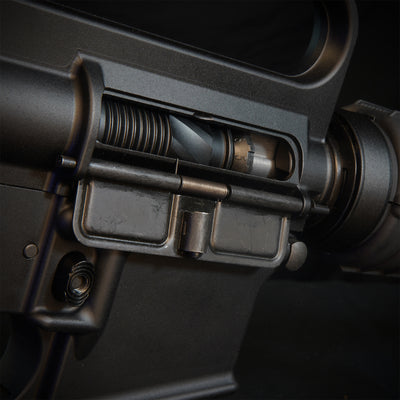 MTW Fossil Collection: Dig 2 (XM177)