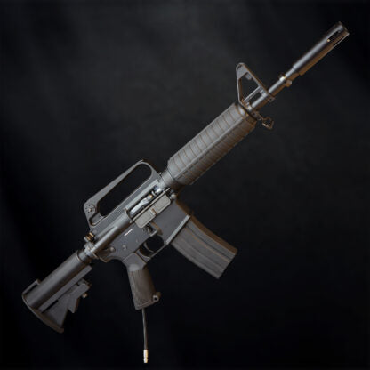 MTW Fossil Collection: Dig 2 (XM177)