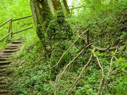 Halo Screen Starter Kit