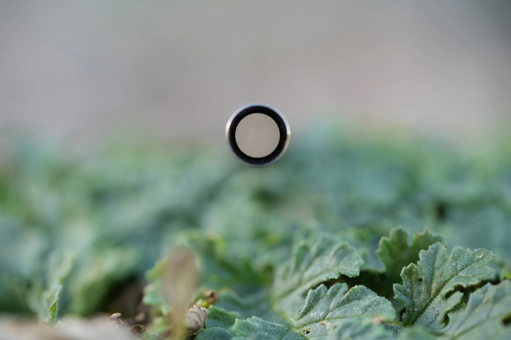 “Morpheus” Carbon Steel 128-595mm AEG