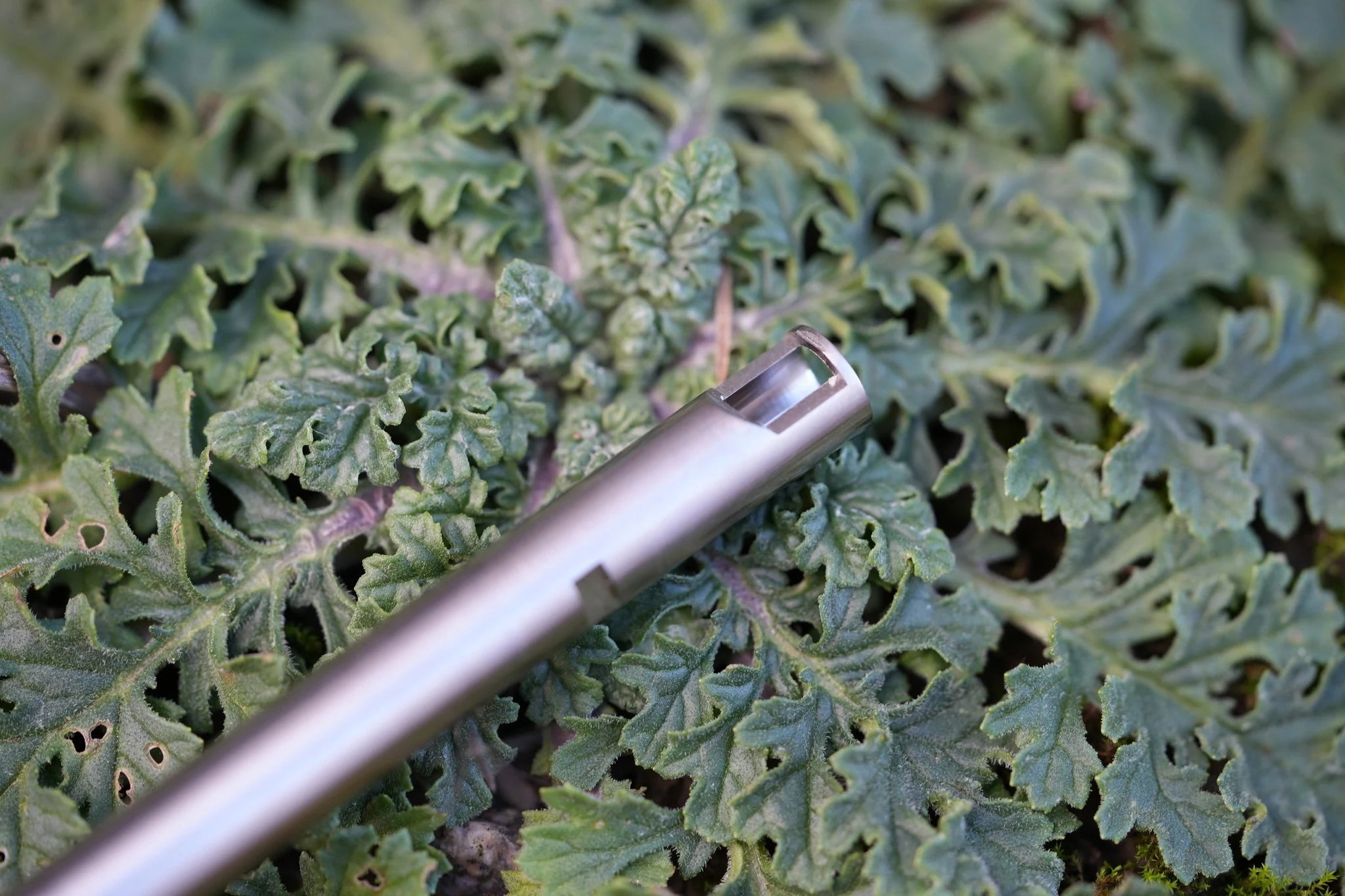 “Morpheus” Carbon Steel 128-595mm AEG