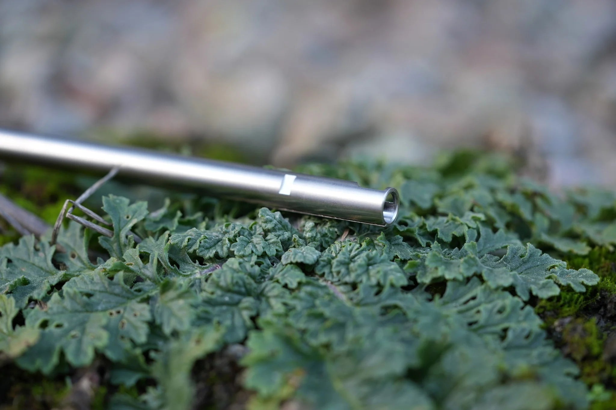 “Morpheus” Carbon Steel 128-595mm AEG